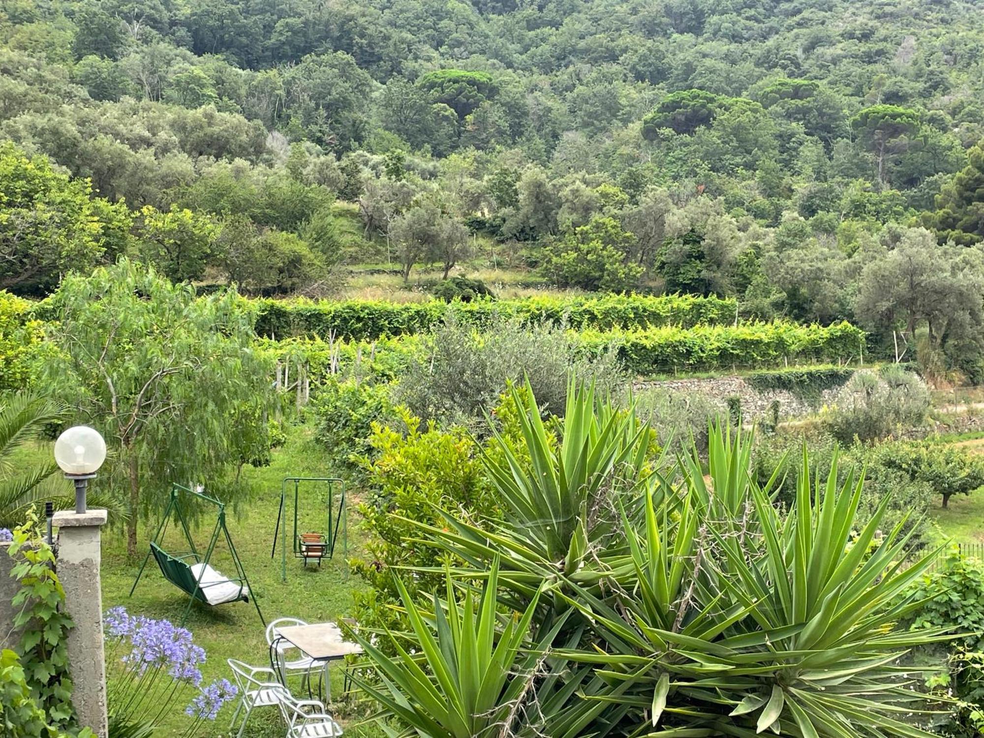 Agriturismo Barilaro Финале Лигуре Экстерьер фото